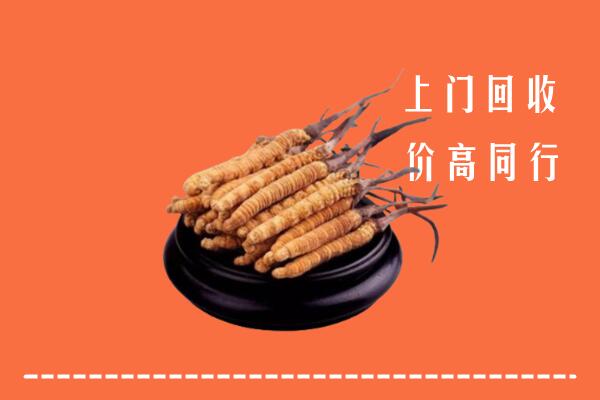 高价求购：沧州吴桥回收散虫草