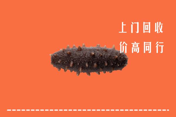 高价求购：沧州吴桥回收海参