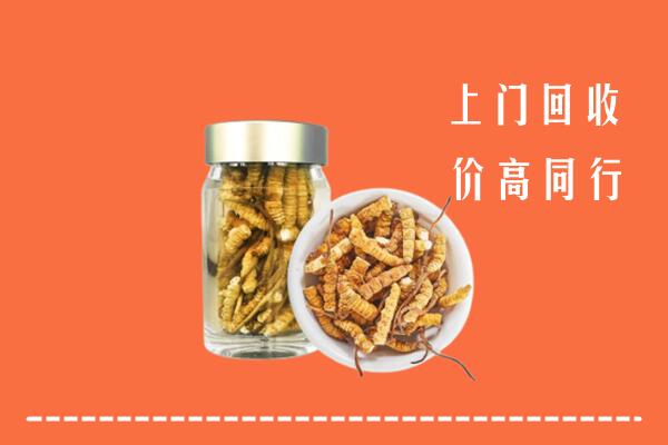 沧州吴桥回收冬虫夏草