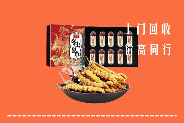 沧州吴桥回收虫草